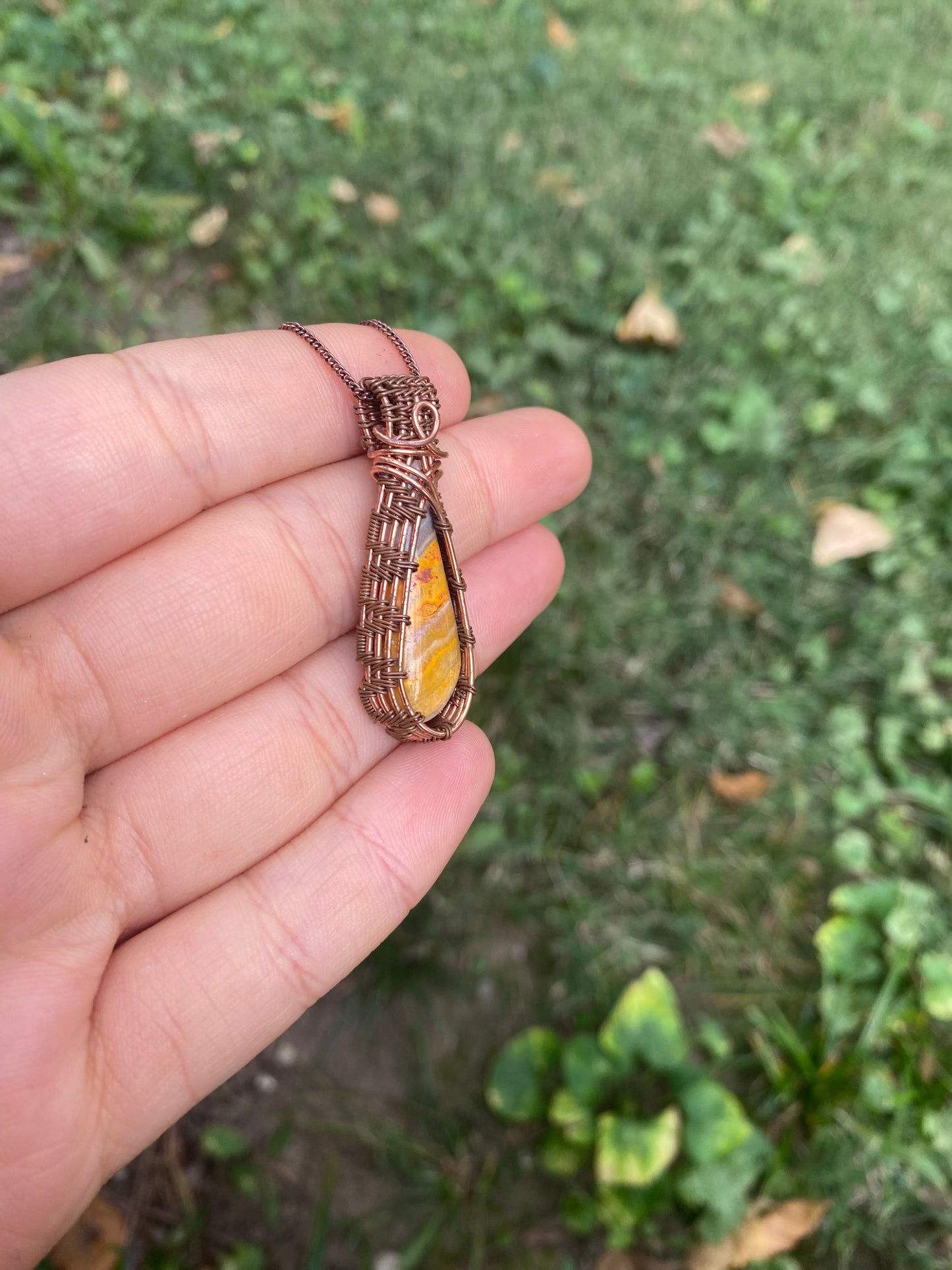 Bumblebee Jasper