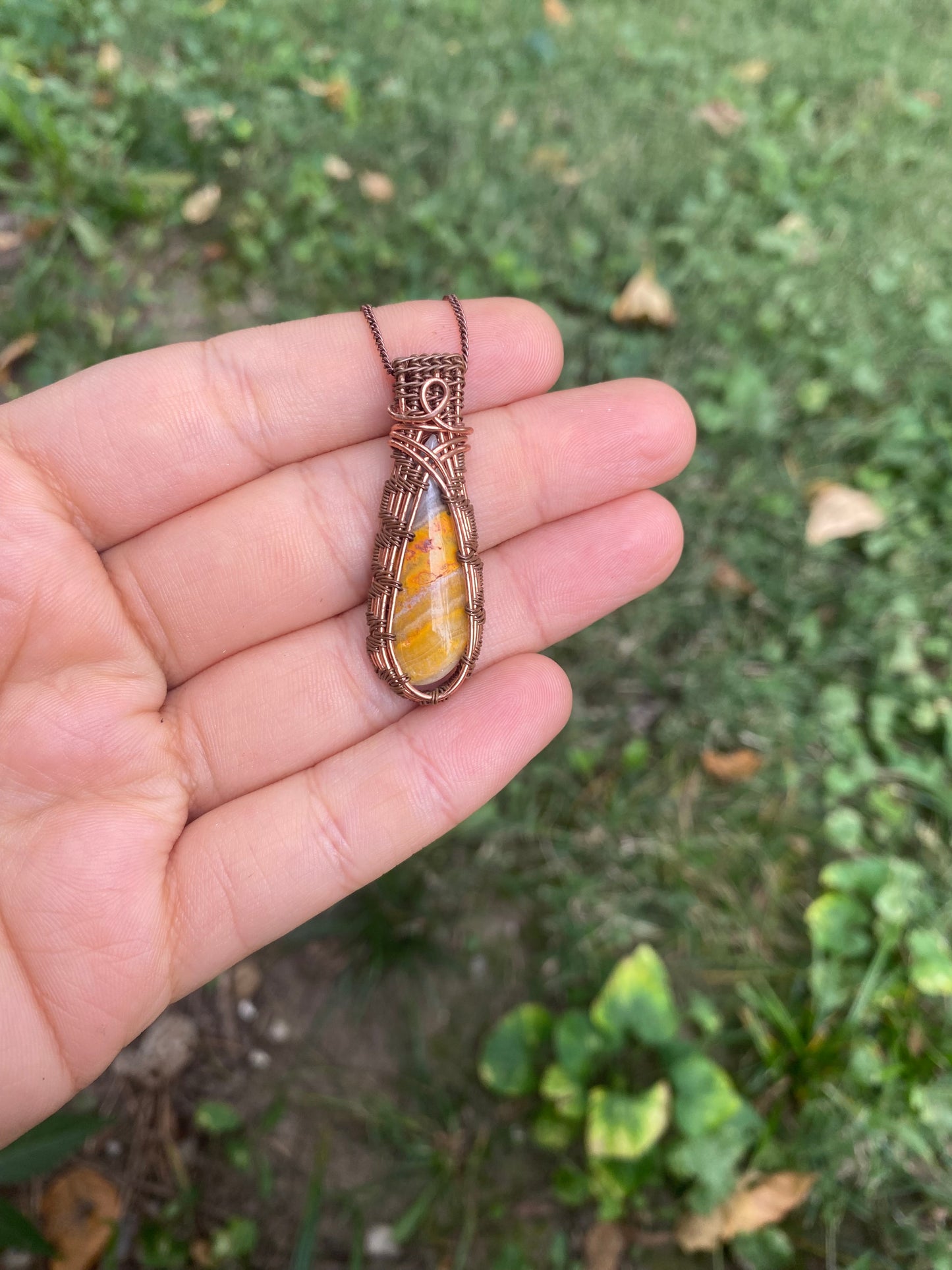 Bumblebee Jasper