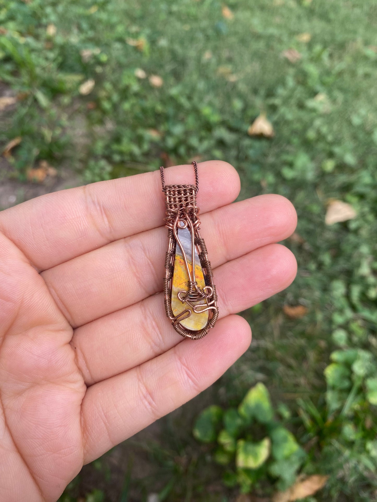 Bumblebee Jasper