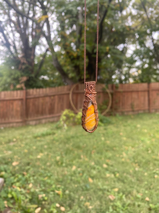 Bumblebee Jasper